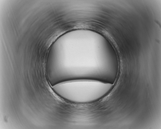 X0000102001041200807180844