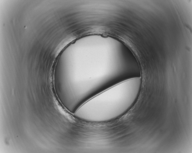 X0000102001042200807180844