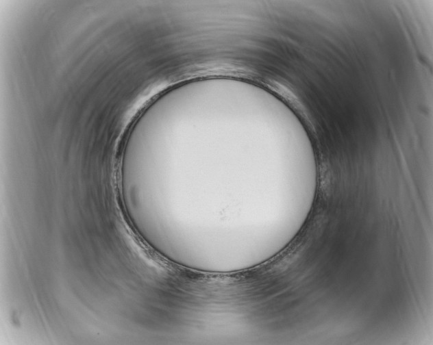 X0000102001043200807180844