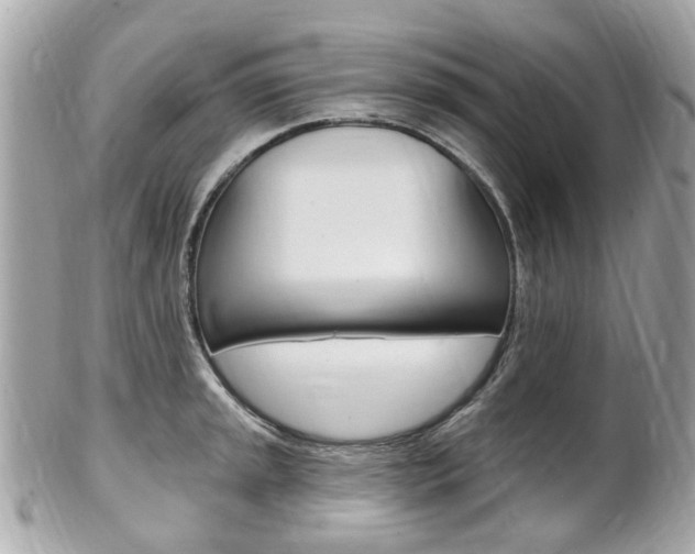 X0000102001045200807180844
