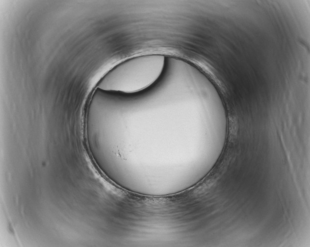 X0000102001046200807180844
