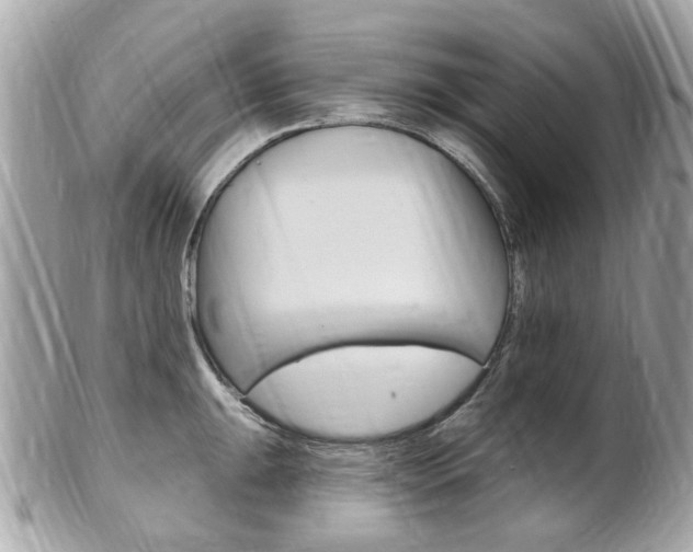 X0000102001047200807180844