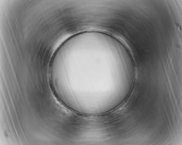 X0000102001048200807180844