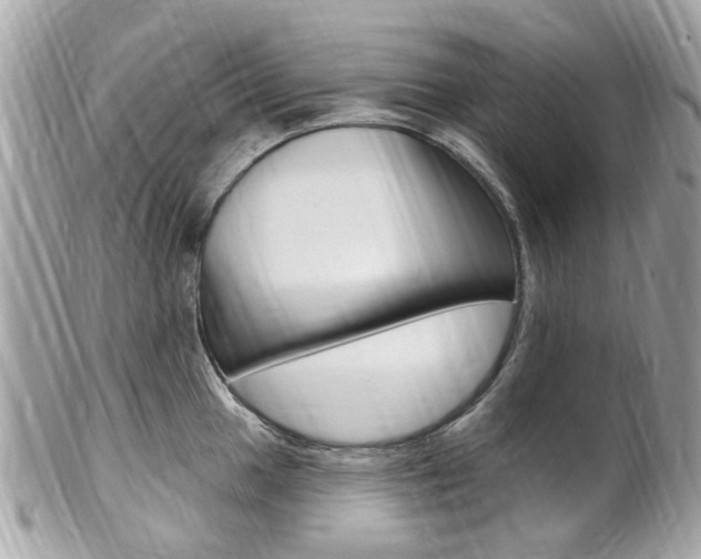 X0000102001049200807180844