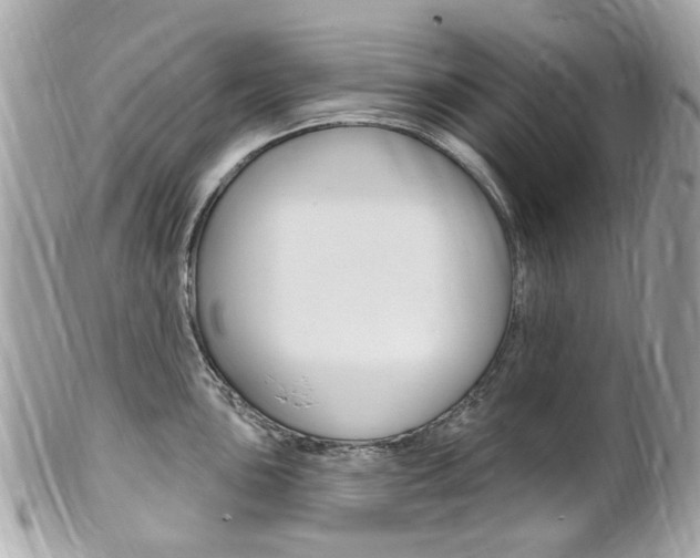 X0000102001051200807180844