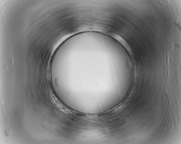 X0000102001052200807180844