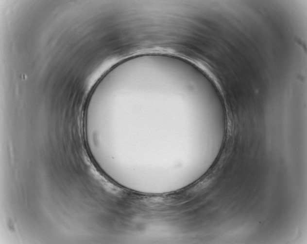X0000102001054200807180844