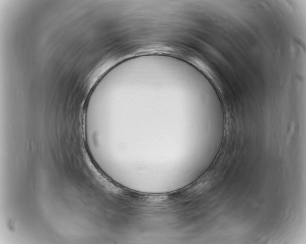 X0000102001055200807180844