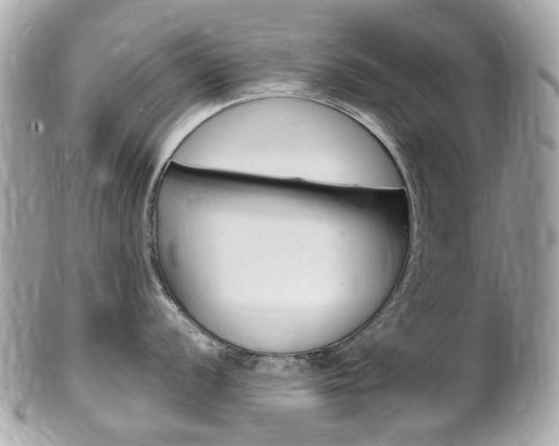 X0000102001056200807180844