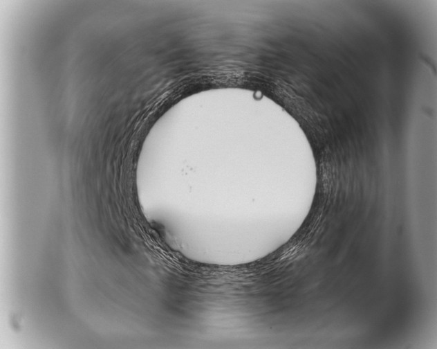 X0000102001057200807180843