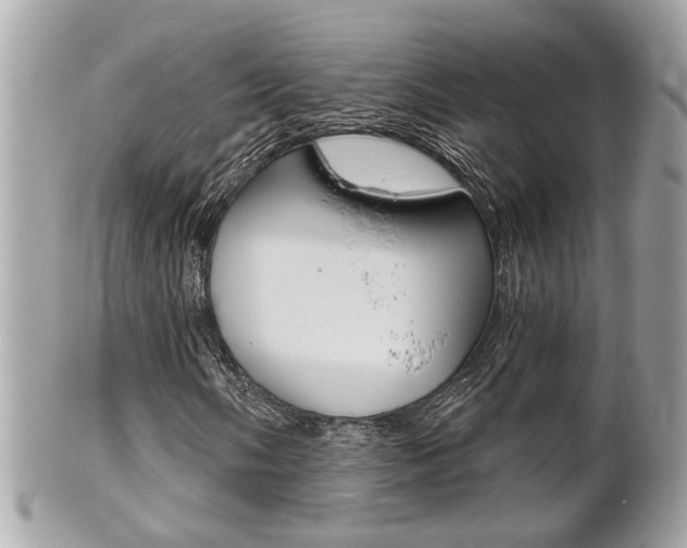X0000102001058200807180843