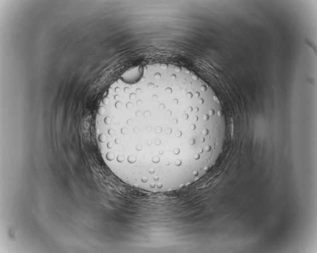 X0000102001059200807180843