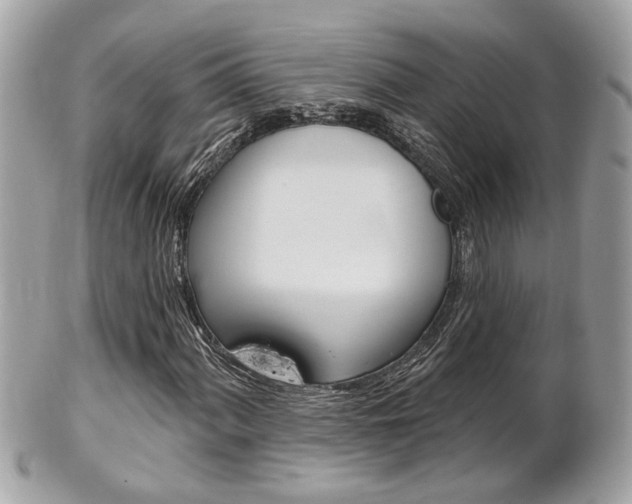 X0000102001060200807180843