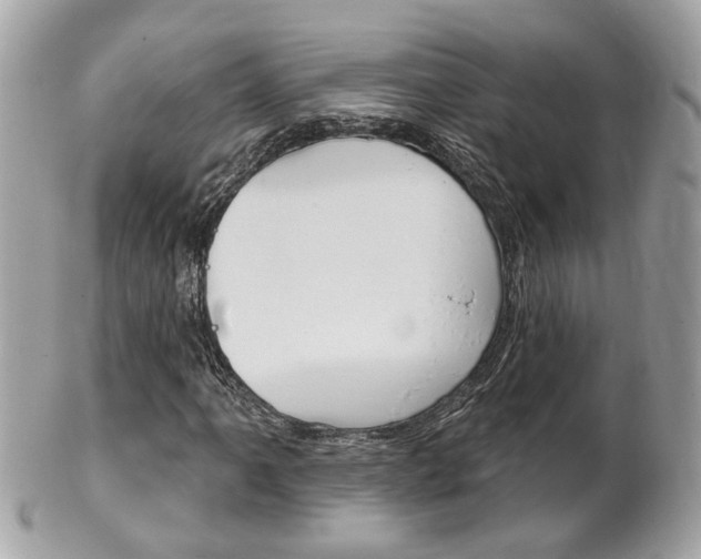 X0000102001061200807180843