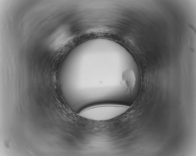 X0000102001062200807180843