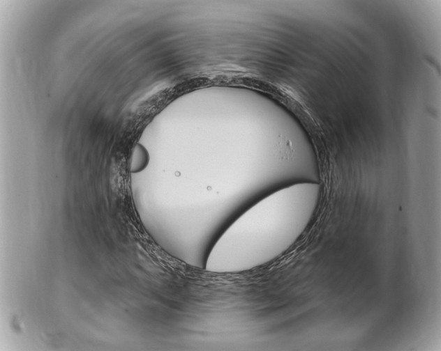 X0000102001063200807180843