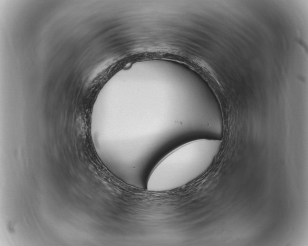 X0000102001064200807180843