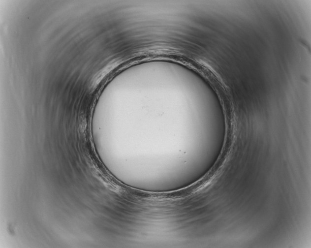 X0000102001065200807180843