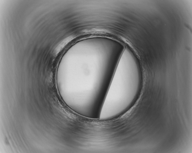 X0000102001066200807180843