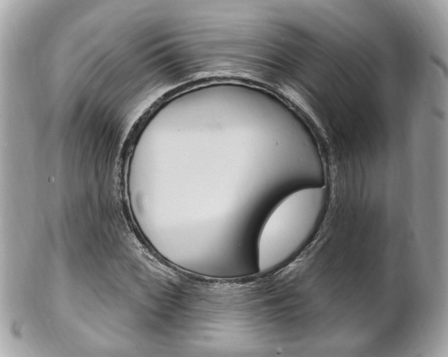 X0000102001068200807180843