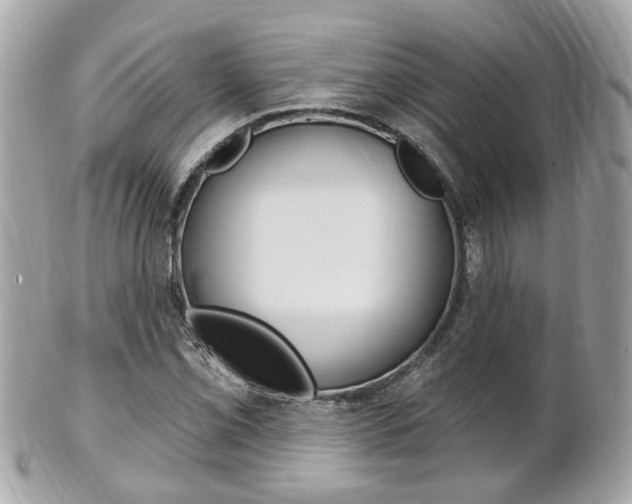 X0000102001069200807180843