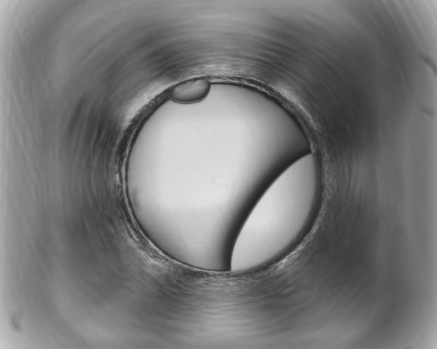 X0000102001070200807180843