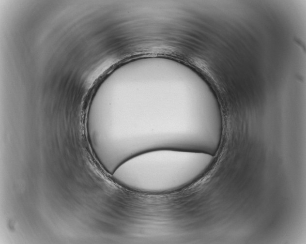 X0000102001071200807180843
