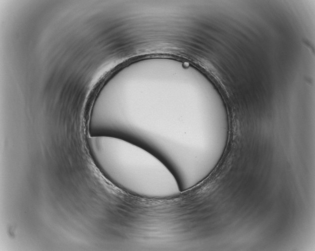X0000102001072200807180843