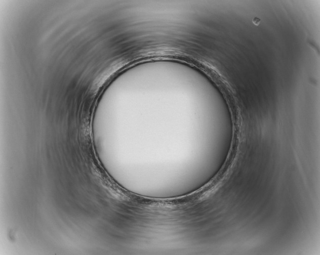X0000102001073200807180843