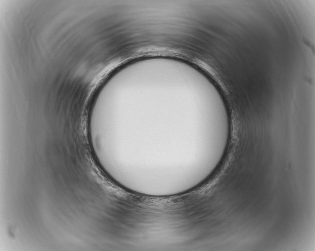 X0000102001074200807180843