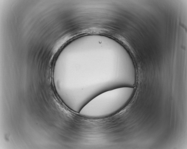 X0000102001075200807180843