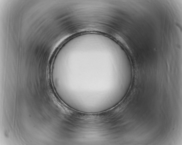 X0000102001076200807180843