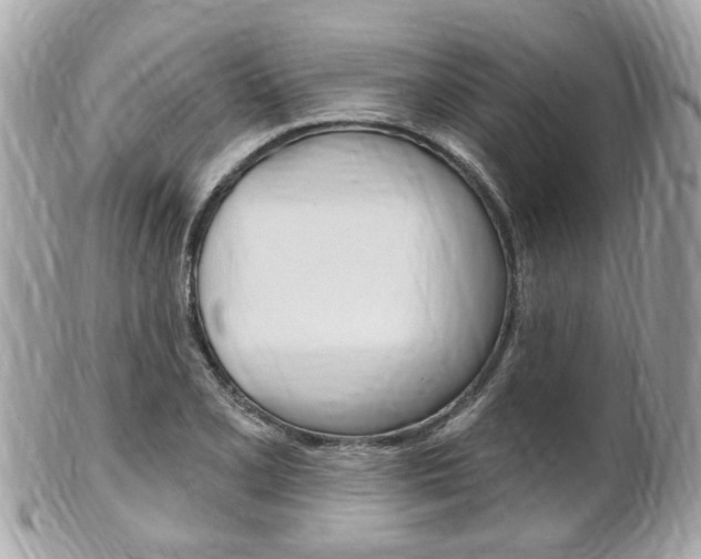 X0000102001077200807180843