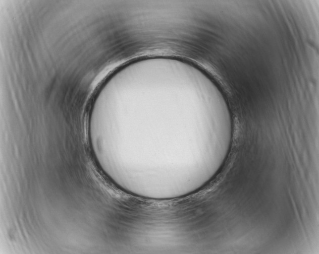 X0000102001078200807180843