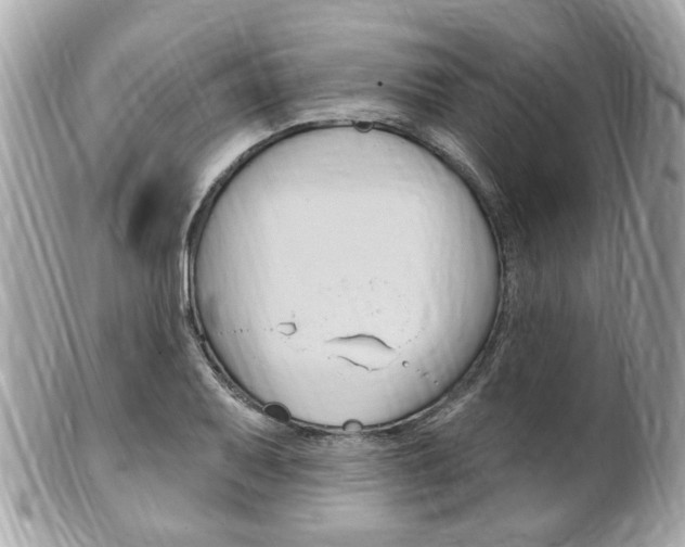 X0000102001079200807180843