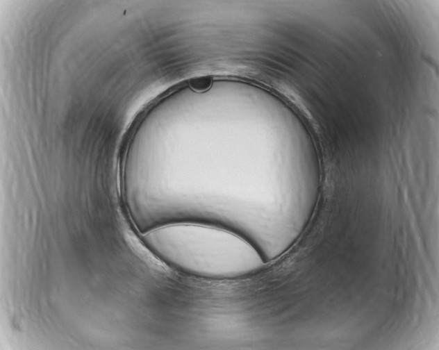 X0000102001080200807180843
