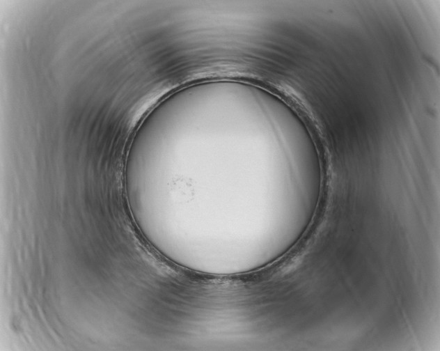 X0000102001081200807180843