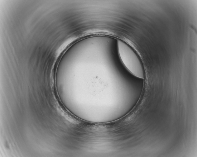 X0000102001082200807180843
