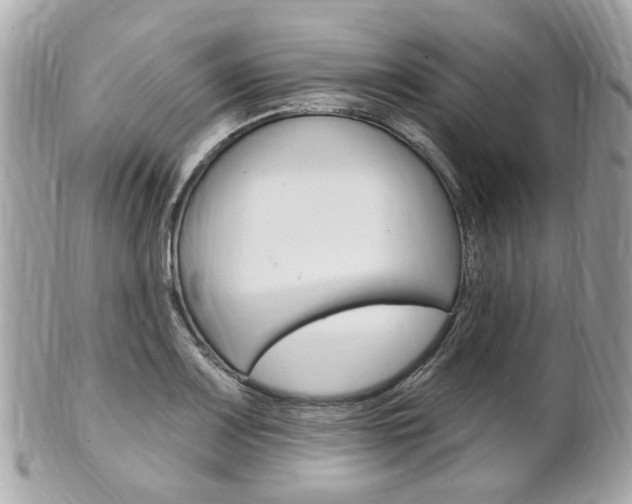 X0000102001083200807180843