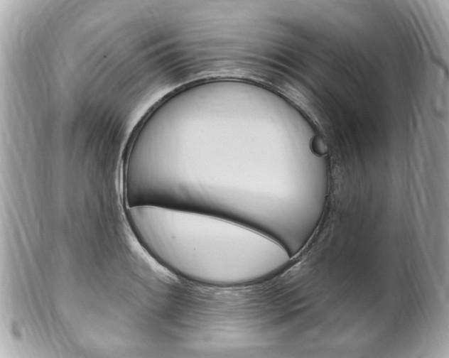 X0000102001084200807180843