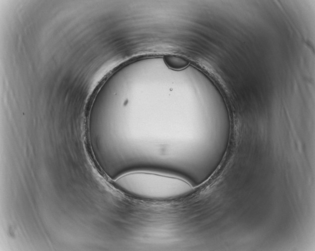 X0000102001085200807180843