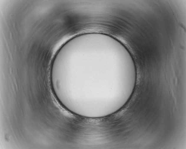 X0000102001086200807180843