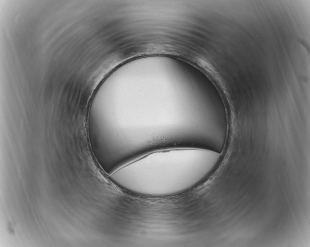 X0000102001089200807180843