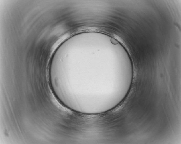 X0000102001090200807180843