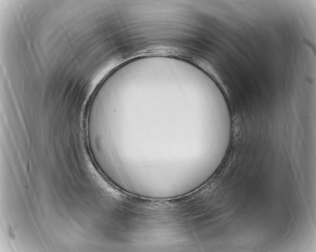 X0000102001091200807180843