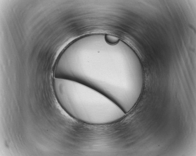 X0000102001092200807180843