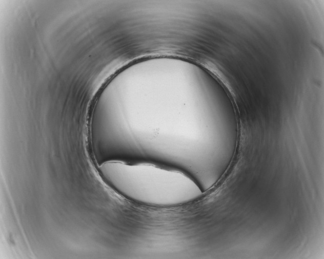 X0000102001093200807180843