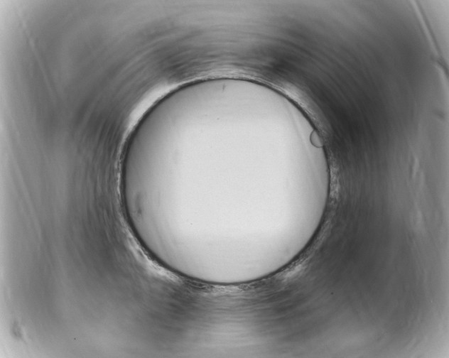 X0000102001094200807180843