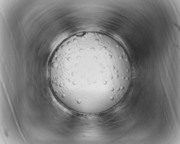 X0000102001095200807180843