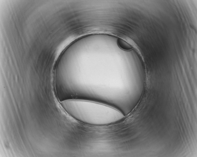 X0000102001096200807180843